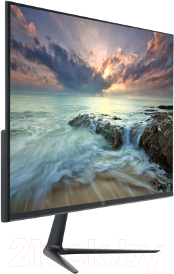Монитор H H24Z75 / 4810443004260