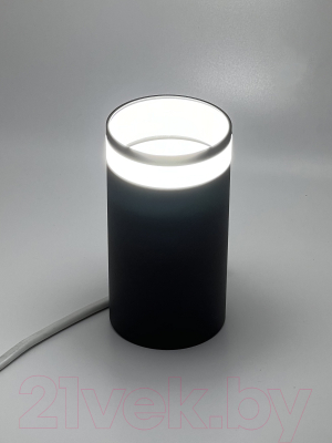 Точечный светильник Truenergy 21304