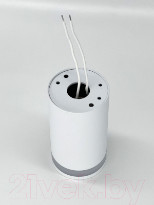 Точечный светильник Truenergy 21305