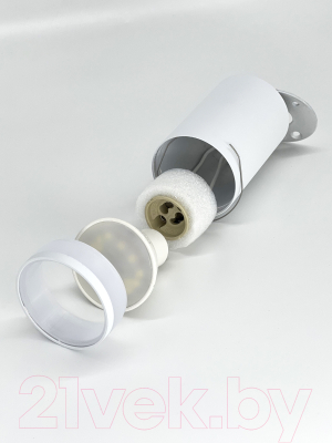 Точечный светильник Truenergy 21305