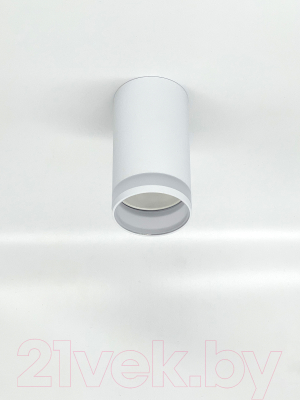 Точечный светильник Truenergy 21305