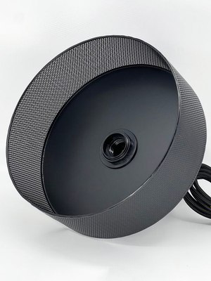 Потолочный светильник Truenergy 21404