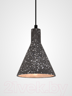 Потолочный светильник Truenergy 21403