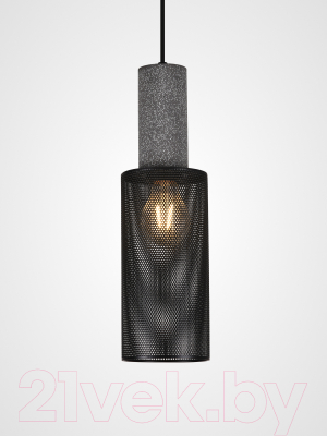 Потолочный светильник Truenergy 21405