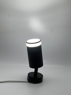 Спот Truenergy 21332