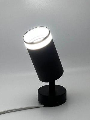 Спот Truenergy 21332