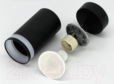 Спот Truenergy 21332