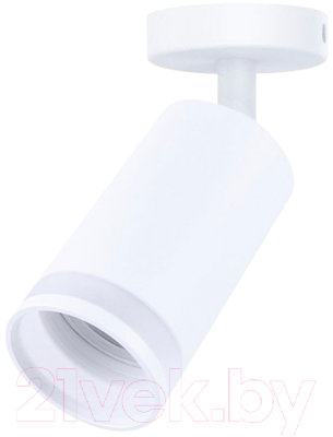 Спот Truenergy 21333 - фото