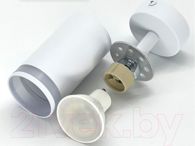 Спот Truenergy 21333