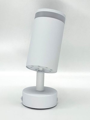 Спот Truenergy 21333