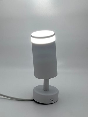 Спот Truenergy 21333