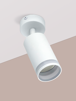 Спот Truenergy 21333