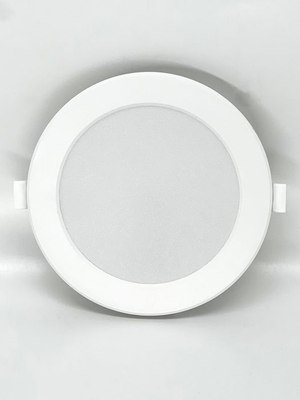 Точечный светильник Truenergy 10082