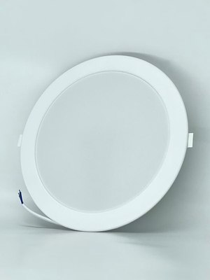 Точечный светильник Truenergy 10084