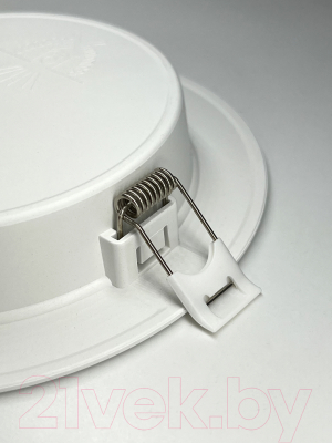 Точечный светильник Truenergy 10085