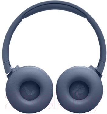 Беспроводные наушники JBL Tune 670NC / T670NCBLU