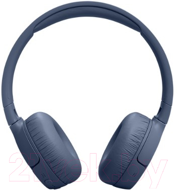 Беспроводные наушники JBL Tune 670NC / T670NCBLU
