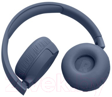 Беспроводные наушники JBL Tune 670NC / T670NCBLU