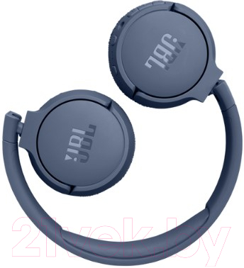 Беспроводные наушники JBL Tune 670NC / T670NCBLU