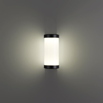 Бра уличное Novotech Opal 359300