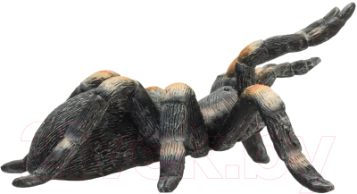 Фигурка коллекционная Konik Красноколенный тарантул / AMW2097