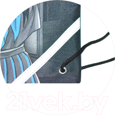 Мешок для обуви Феникс+ Герои аниме. Комикс / 66184