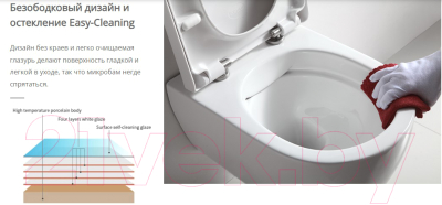 Унитаз подвесной SSWW CT2039V-B