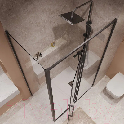 Душевой уголок Niagara 120x90x195 NG-85-12AB-A90B-34 