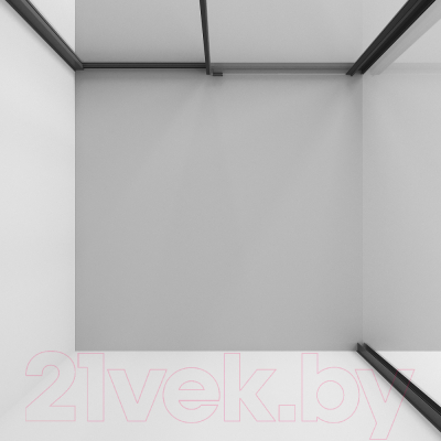 Душевой уголок Niagara 100x80x195 NG-84-10AB-A80B-34