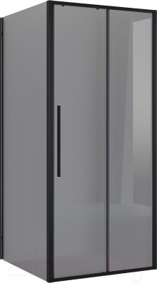 Душевой уголок Niagara 100x80x195 NG-85-10TB-TB80-34 - фото