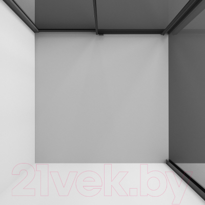 Душевой уголок Niagara 110x80x195 NG-85-11TB-TB80-34