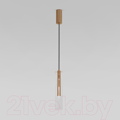 Потолочный светильник Евросвет 50254/1 LED 