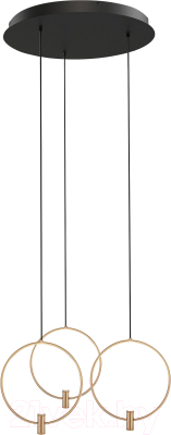 Люстра Евросвет 50257/3 LED  - фото