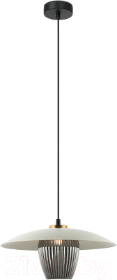 Потолочный светильник Евросвет 50259/1  - фото