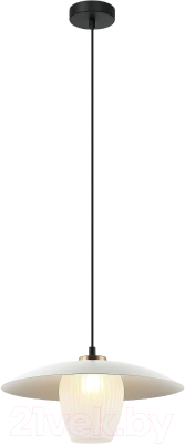 Потолочный светильник Евросвет 50259/1  - фото