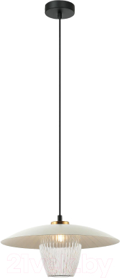 Потолочный светильник Евросвет 50259/1  - фото