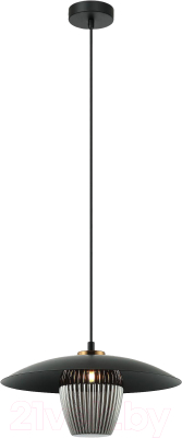 Потолочный светильник Евросвет 50259/1  - фото