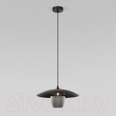 Потолочный светильник Евросвет 50259/1 