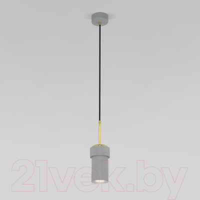 Потолочный светильник Евросвет 50264/1 