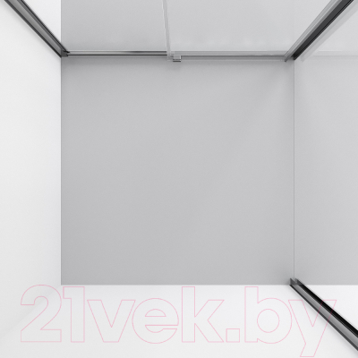 Душевой уголок Niagara 110x80x195 / NG-64-11A-A80-34