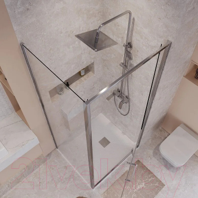 Душевой уголок Niagara 100x80x195 / NG-66-10A-A80-34