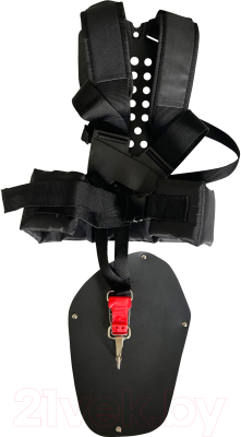 Триммер бензиновый Zeus PNBC620P