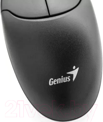 Мышь Genius NetScroll 120 V2