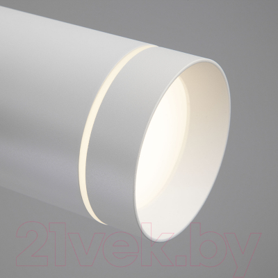 Потолочный светильник Elektrostandard DLR023 12W 3000K