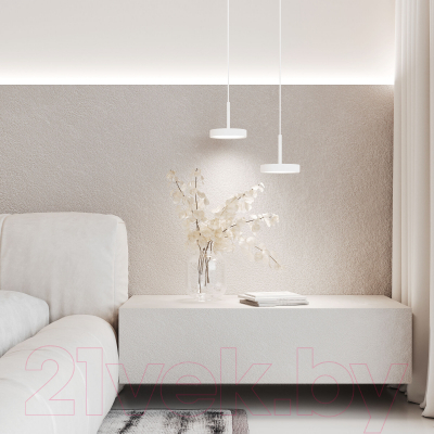 Потолочный светильник Elektrostandard Plate 50260 LED