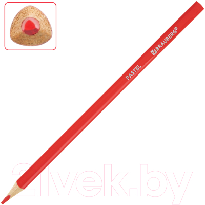 Набор цветных карандашей Brauberg Pastel / 181851