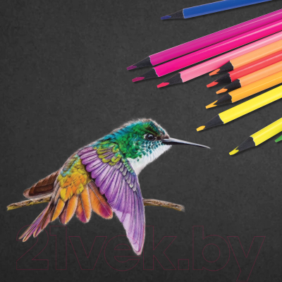 Набор цветных карандашей Brauberg Neon / 181852