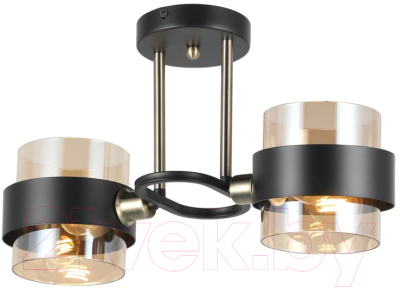 Потолочный светильник Imex MD.51893-2-S-BK+AB - фото