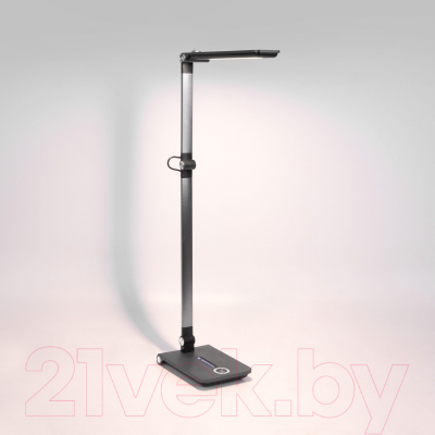 Настольная лампа Elektrostandard Great TL70240