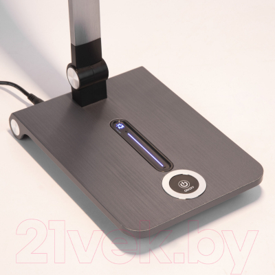 Настольная лампа Elektrostandard Great TL70240